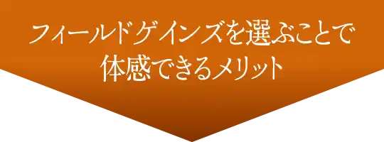 フィールドゲインズを選ぶことで体感できるメリット