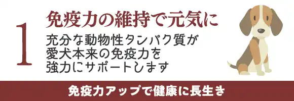 免疫力の維持で元気に～充分な動物性タンパク質が愛犬本来の免疫力を強力にサポートします