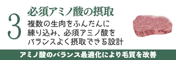 必須アミノ酸の摂取～複数の生肉をふんだんに練り込み、必須アミノ酸をバランスよく摂取できる設計